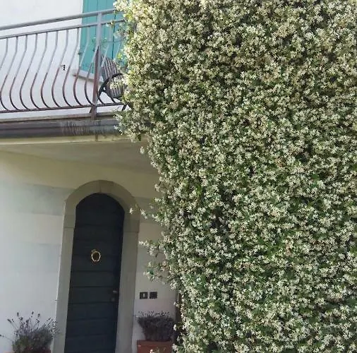 Bed & Breakfast Il Gelsomino 3*